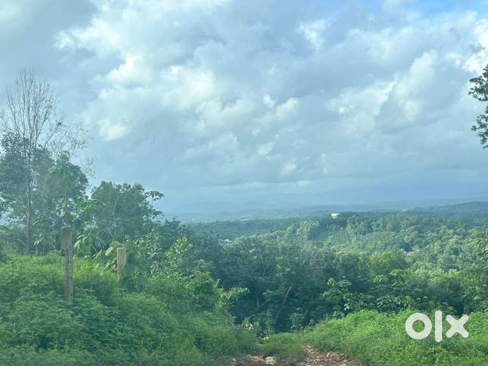 Land for resorts and stays on the outskirts of Trivandrum City