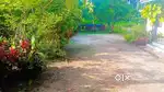 പട്ടണക്കാട് നാഷണൽ ഹൈവെയ്ക്കു സമീപം പ്ലോട്ടുകൾ സെന്റ് 4.50 ലക്ഷം