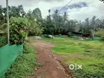 60-Cent Land for rent good for small scale or Commercial Use!