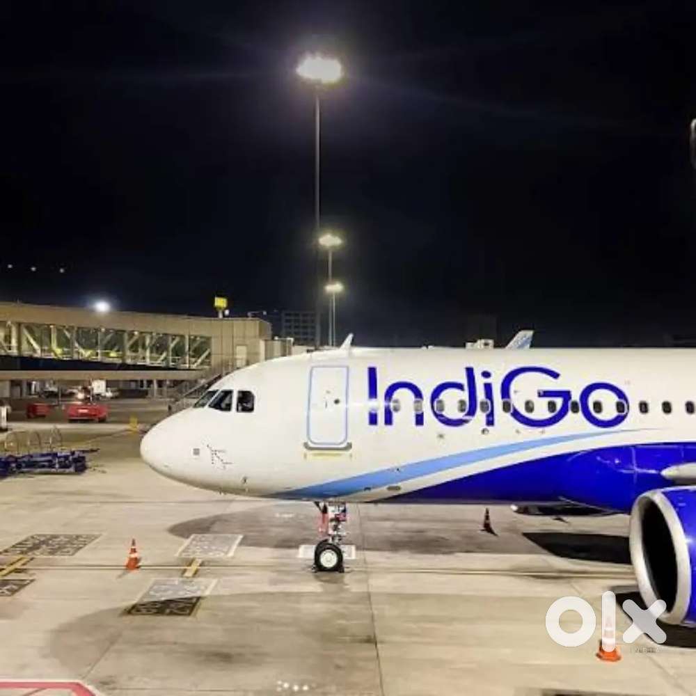 Fresher Male, Female Both Candidate Apply In IndiGo Airlines