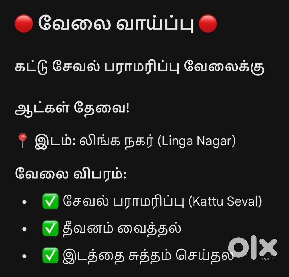கட்டு சேவல் பராமரிப்பதற்கு ஆட்கள் தேவை