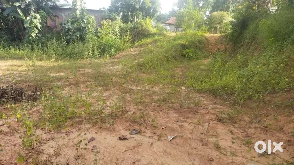 Belonia 12 ganda jaiga bikri hobe