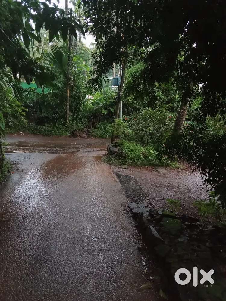 Residential Plot for Sale - Prime location