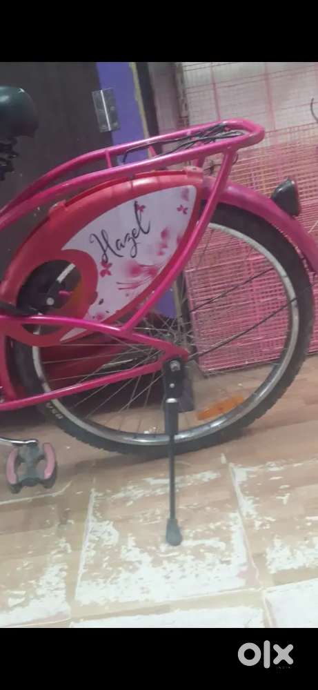 Lady Bird Cycle