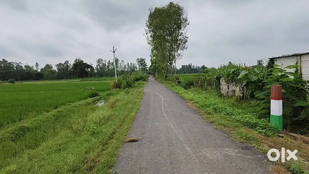 खेती बाग और फार्म हाउस के लिए जमीन खरीदे रोड से लगा हुआ