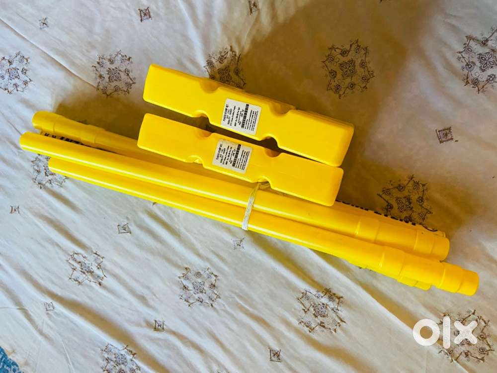 Cricket and Badminton