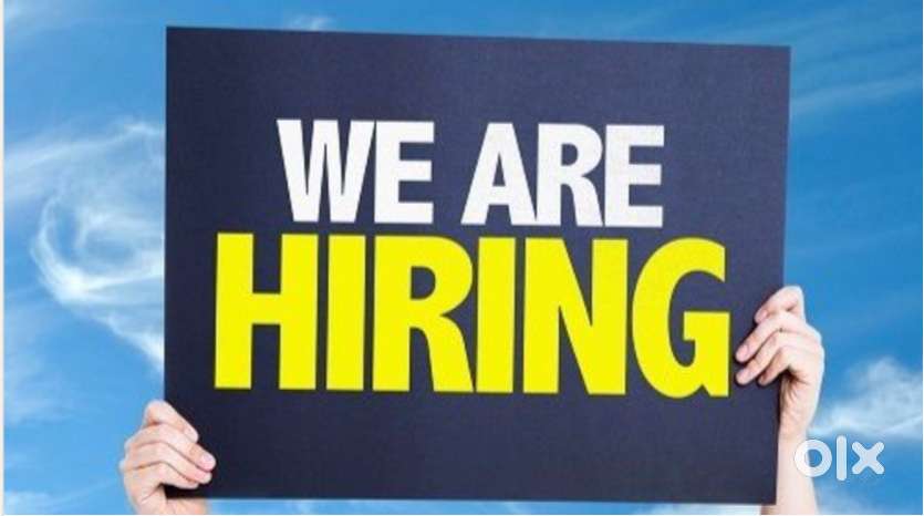 Data Entry Job