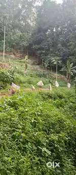 കുറഞ്ഞ വിലയ്ക്ക് വസ്തു വാങ്ങിക്കാം