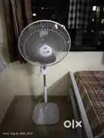 Pedestal Fan