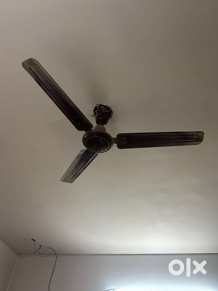 Ceiling fan