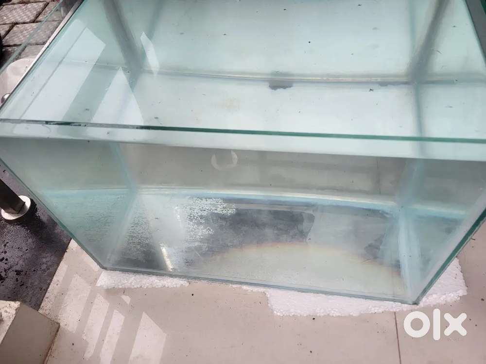 Aqurium glass tank