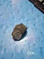 Mujhe nahin pata yah diamond Hai ki nahin