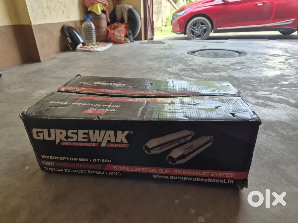 Gurushavak bigshort exaust with Way2speed air filter