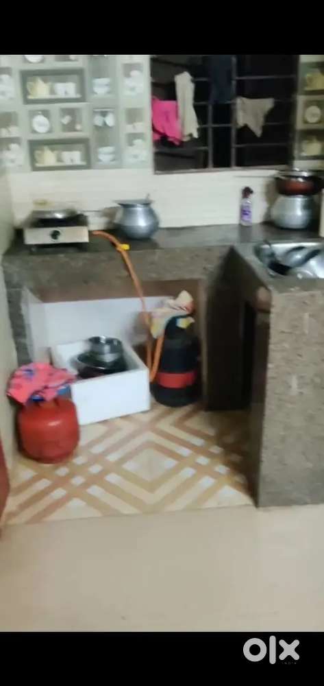 Need a girl room mate urgently