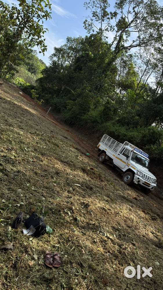 വഴിത്തലക്കു  സമീപം (Thodupuzha 10 KM)