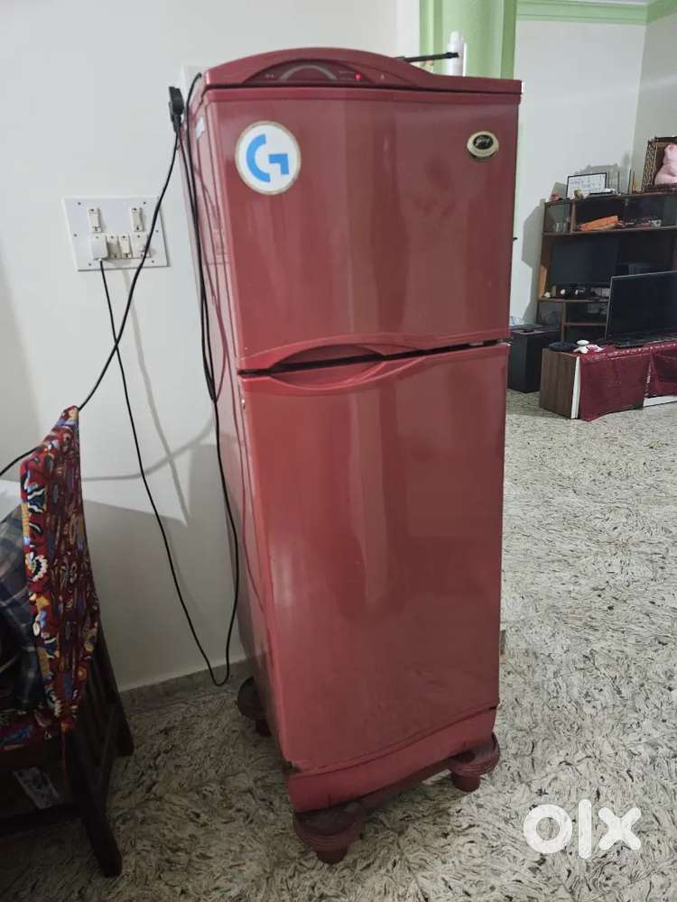 Refrigerator Double door