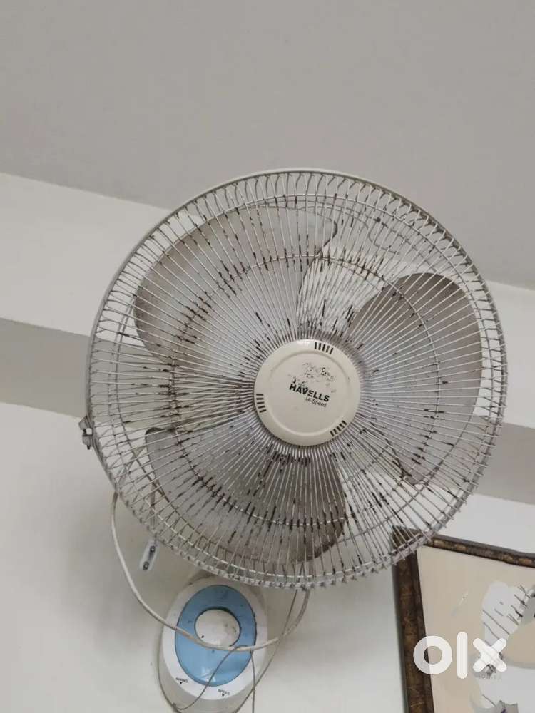 Havells fan