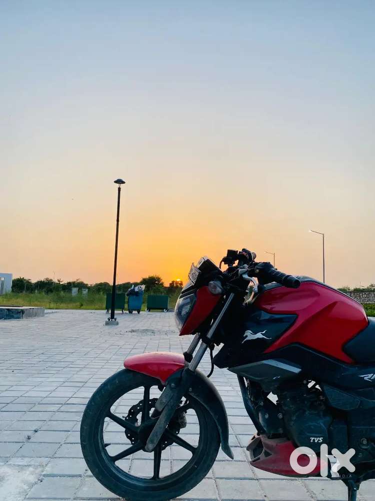 Good condition and 1st honour