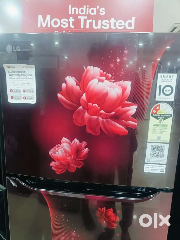 2025 model  new lg 2star double door fridge