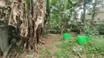 RESIDENTIAL LAND FOR SALE IN KUDAPANAKUNNU PEROORKADA