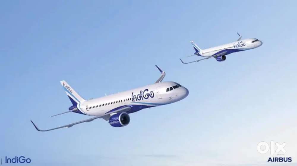 Domestic/International Airport jobs ground staff/ticketing /cabin crew