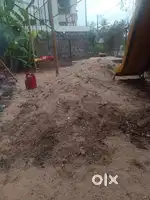 Beach Sand for play area