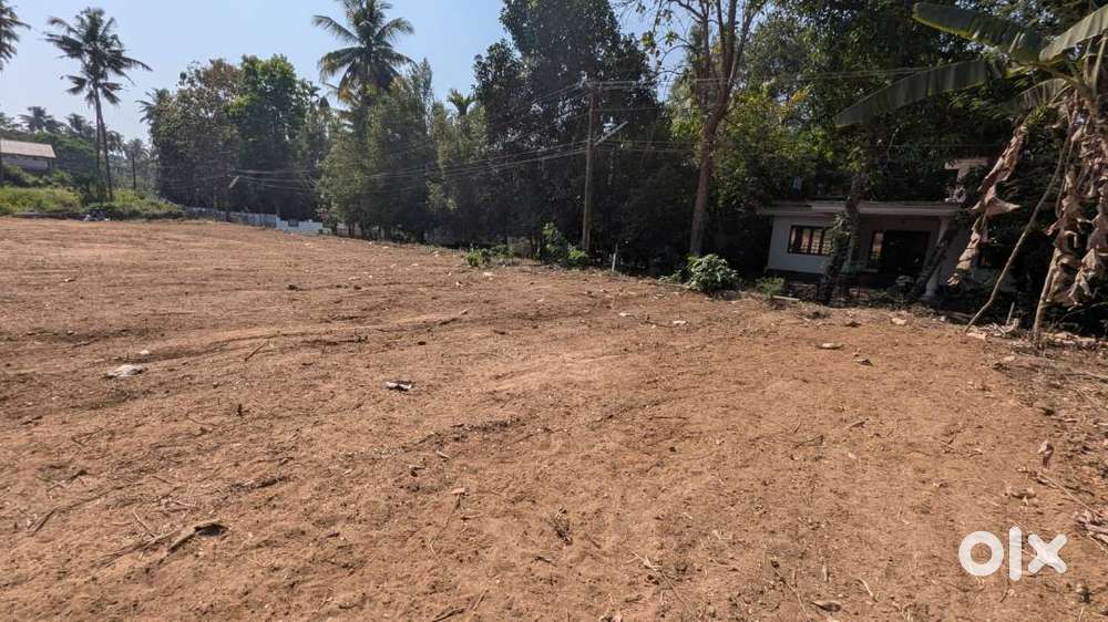 Chalakudy, potta premium house plots 3 lakh DP, 90% loan open gym park