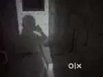 Rented house