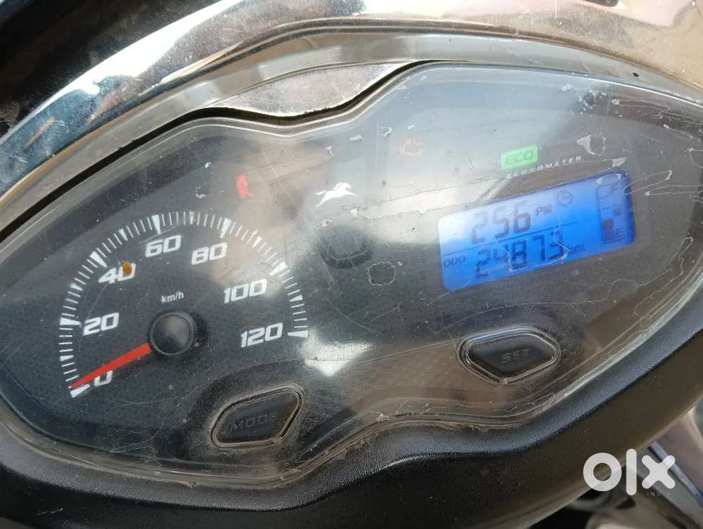 New bike purchase