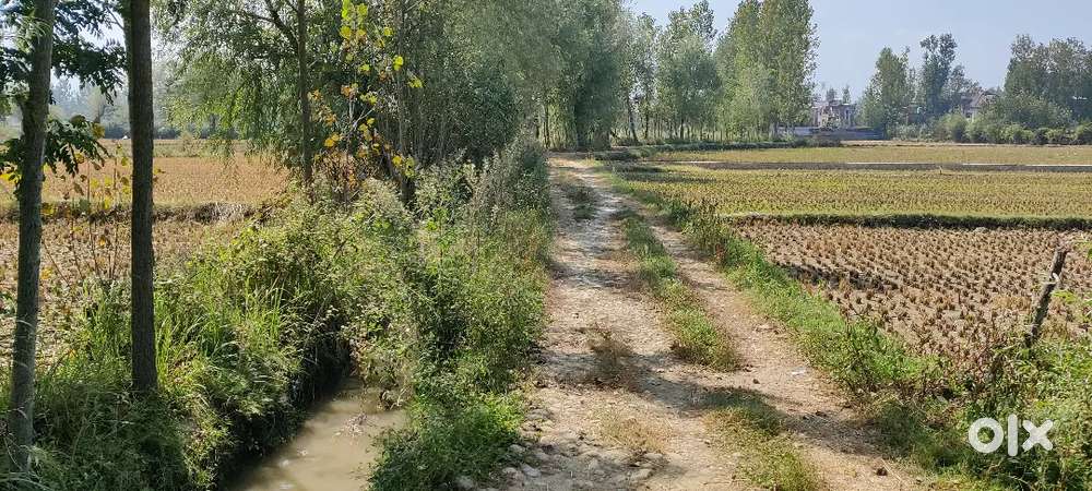 1 kanal land available at harran near budgam railway station