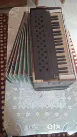 Bance male Harmonium