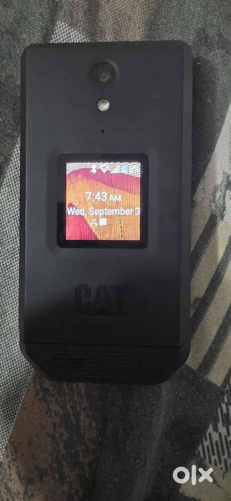 CAT   flip