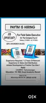 Sales executive