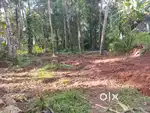 6 cent square plot at Panniyannur