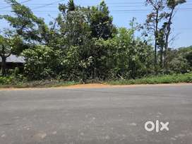 Highway side land in Vellamunda