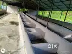 Cultivation Land, Resort Purpose  3.22 acr