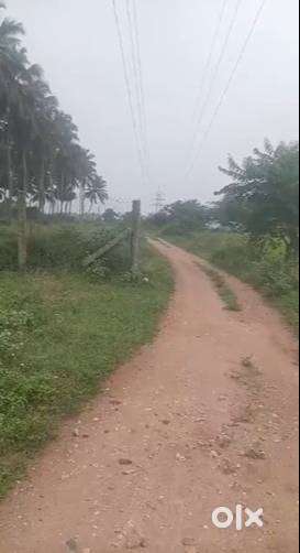 9 Acres Land for Sale in Malumichampatti-Acre 3.5 Crores