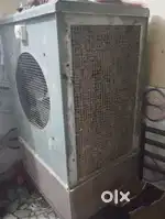3saal purana hai