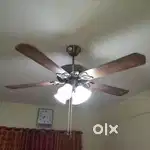 Orient Premium Fan with light lamp