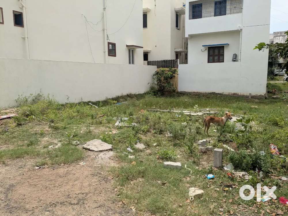 1100 sft Tellus avenue Rajakilpakkam