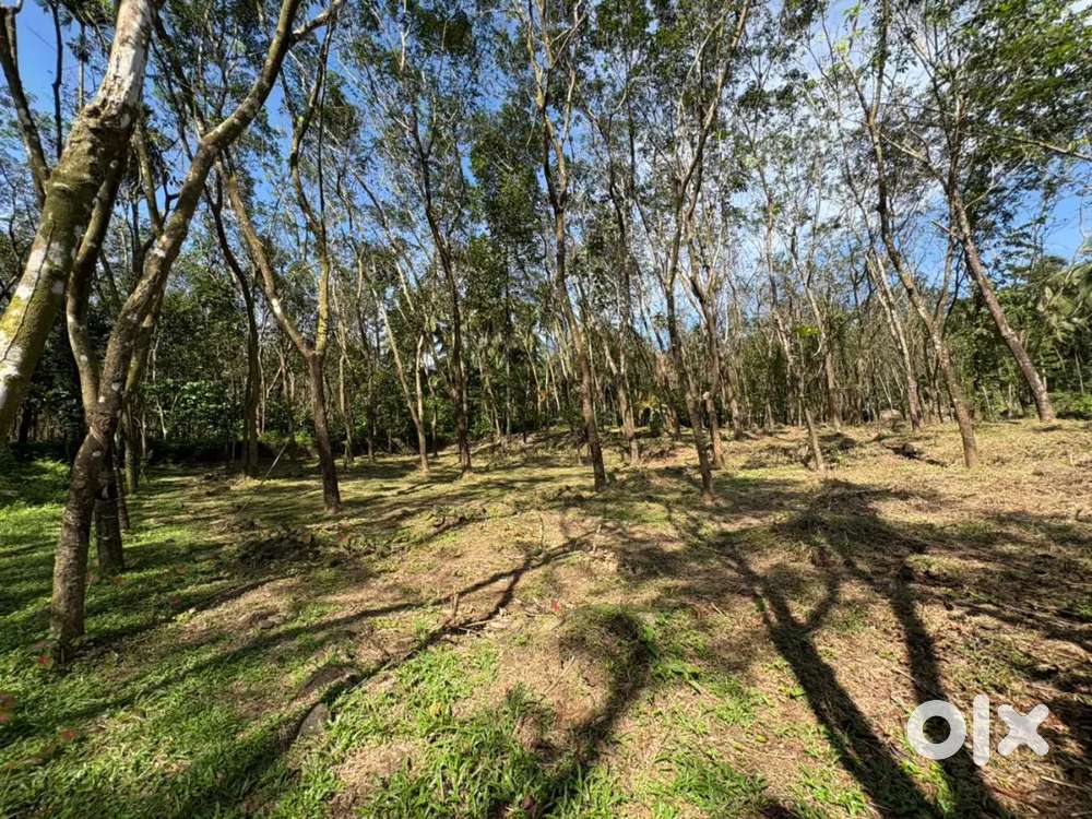 Agricultural land near Iravanji puzha suitable Farm house, resorts