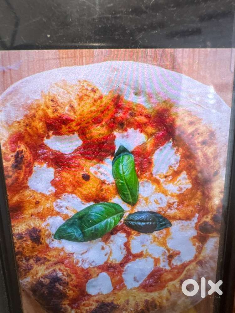 Pizza chef and shawarma master