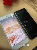Iphone 7 plus or Samsung s8 plus