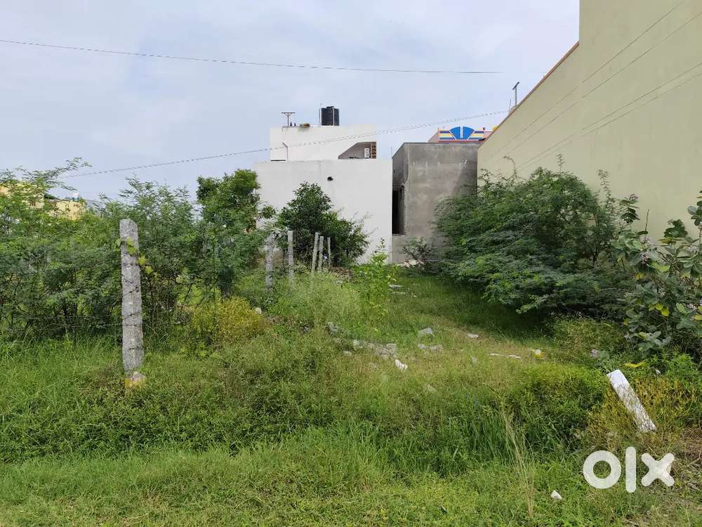 20*60=1200 sqt plot sale