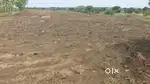 Farmland with attractive and instant return