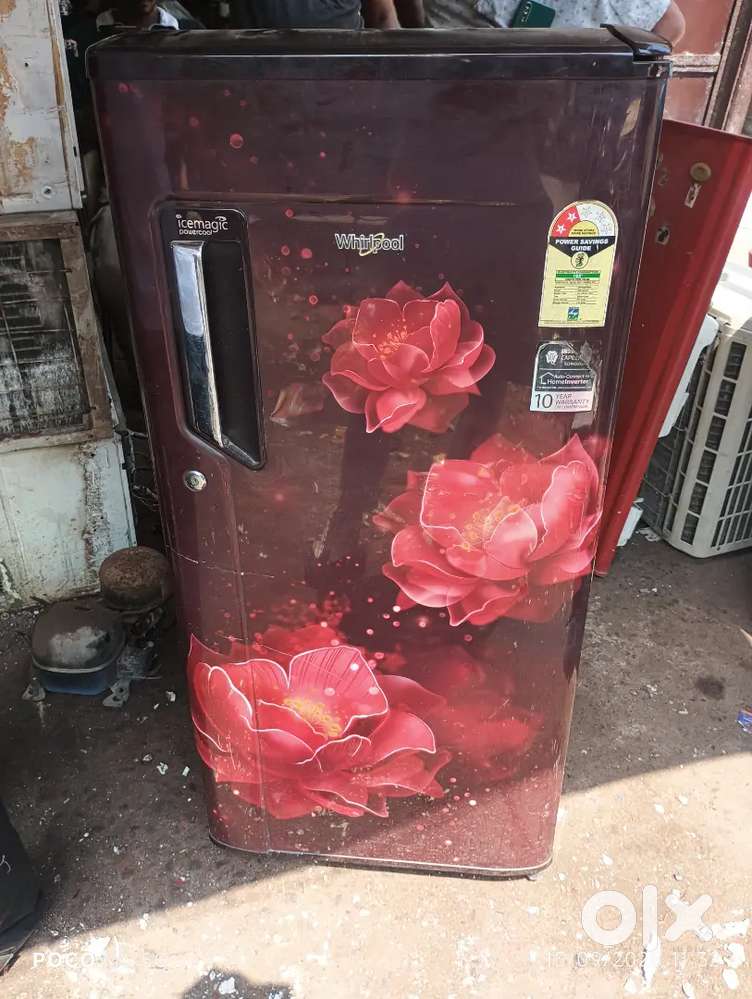 Kabadi market china park