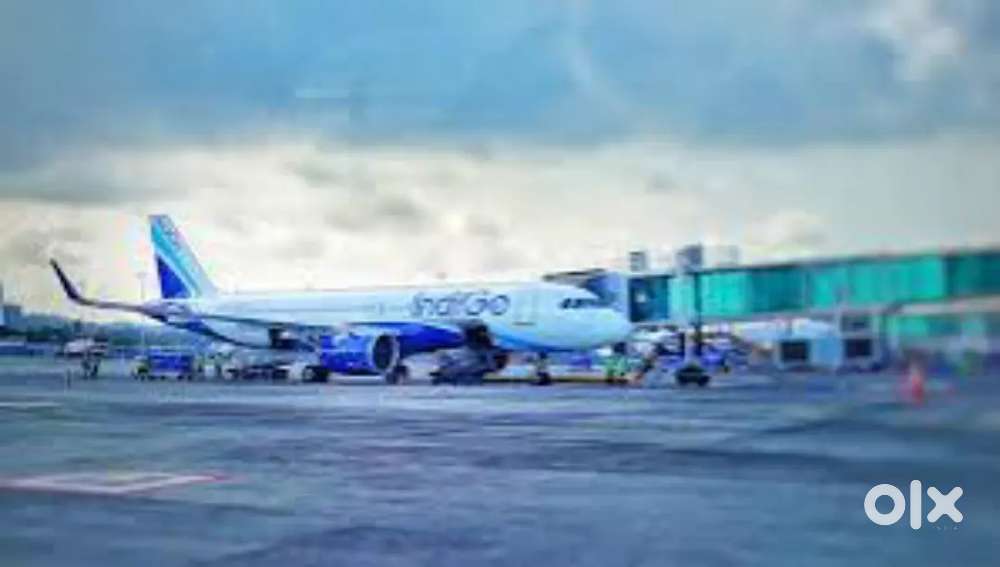 Jobs In Indigo Airlines Vacancy Available For Ground Staff Apply Now
