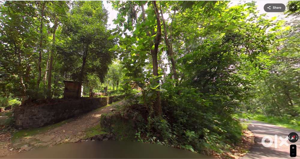 25 cents land + old house for sale in Thadiyoor