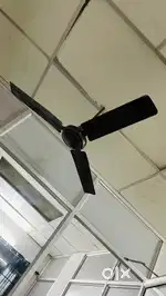 Ceiling fan
