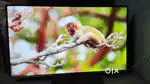 Micromax canvas series 55 inch Android Tv for sell